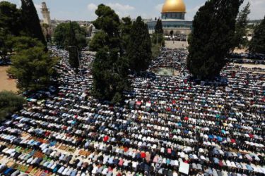 برنامج رواد التميز الإداري